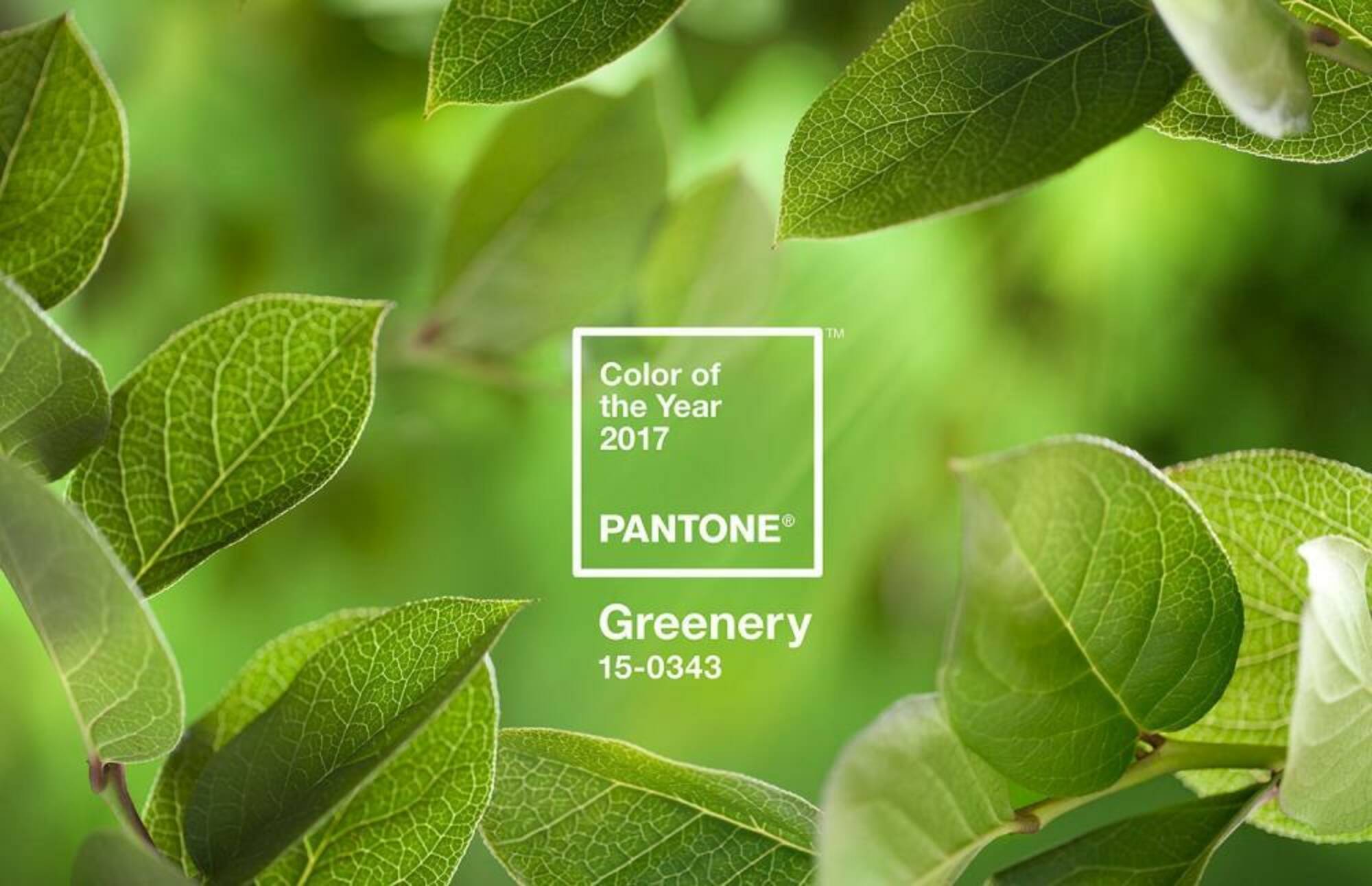 Greenery: το χρώμα του 2017