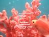 2018-12-07_coral.jpg / LIVING CORAL: το χρώμα του 2019