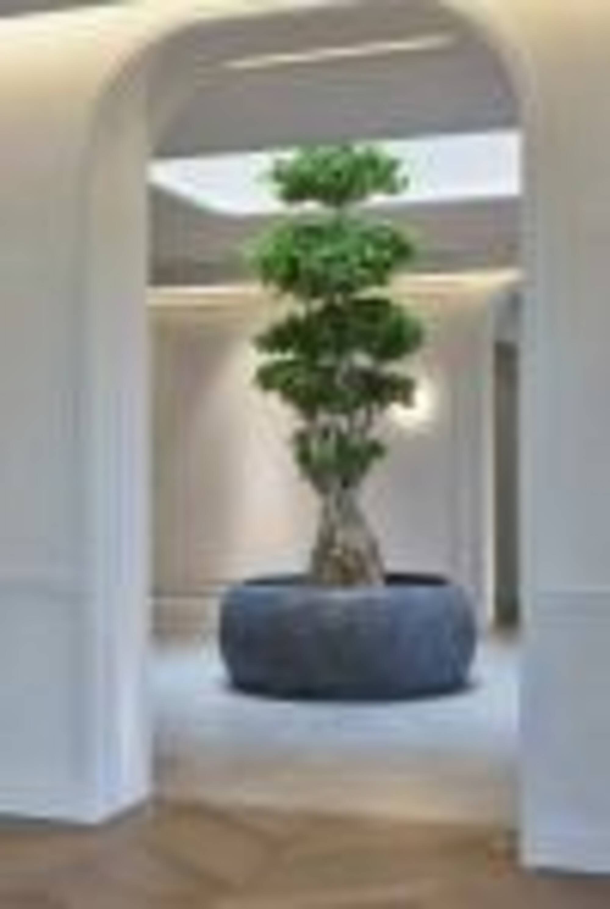 VillaFilotheiHR-120.jpg / LUXURY VILLA | FILOTHEI, ATHENS